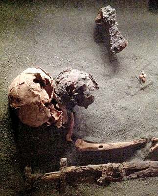Viking-age skeletal remains